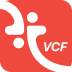 金舟VCF转换器(360专版)