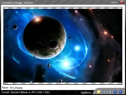 Common Image Viewer