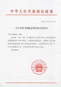 中國飛鏢協會_360百科