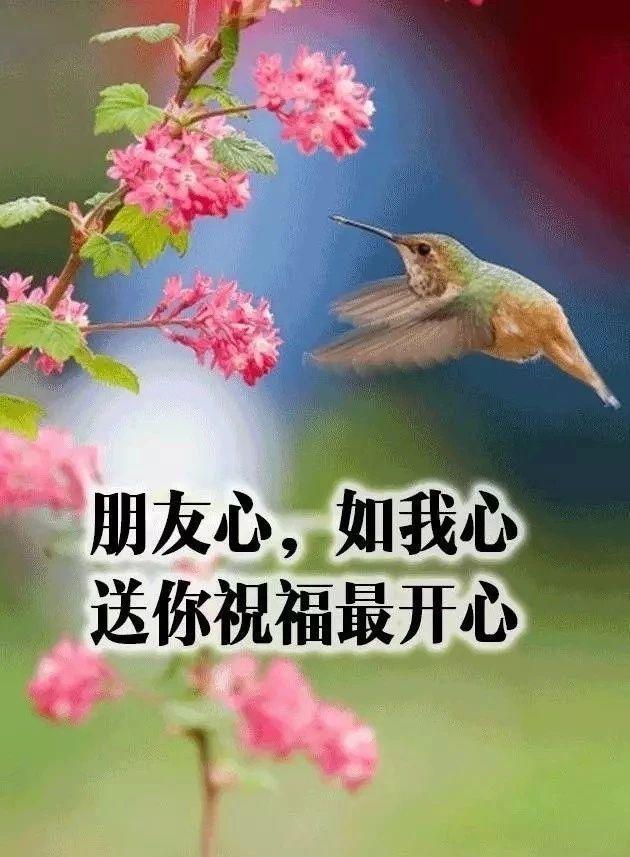 致朋友跨年的文案