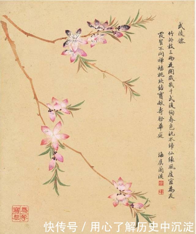 桃花什么桃花源