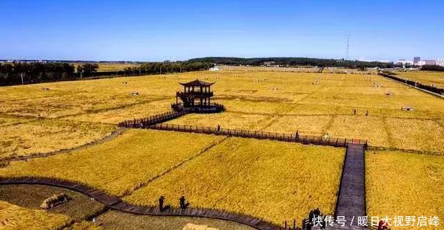 推动东北地区高质量发展