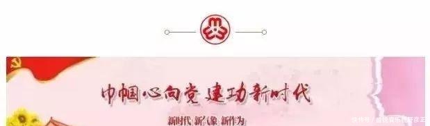 垃圾分分类的知识