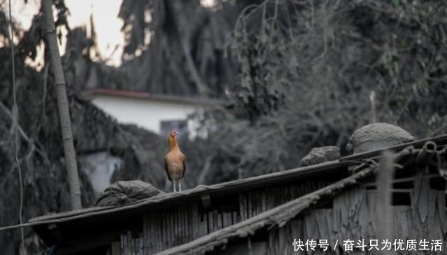 菲律宾火山和马尼拉有多远