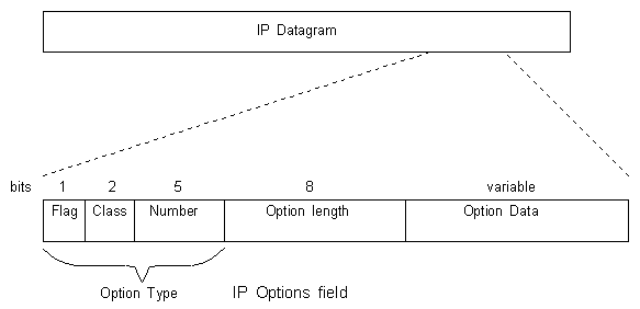 IP Options
