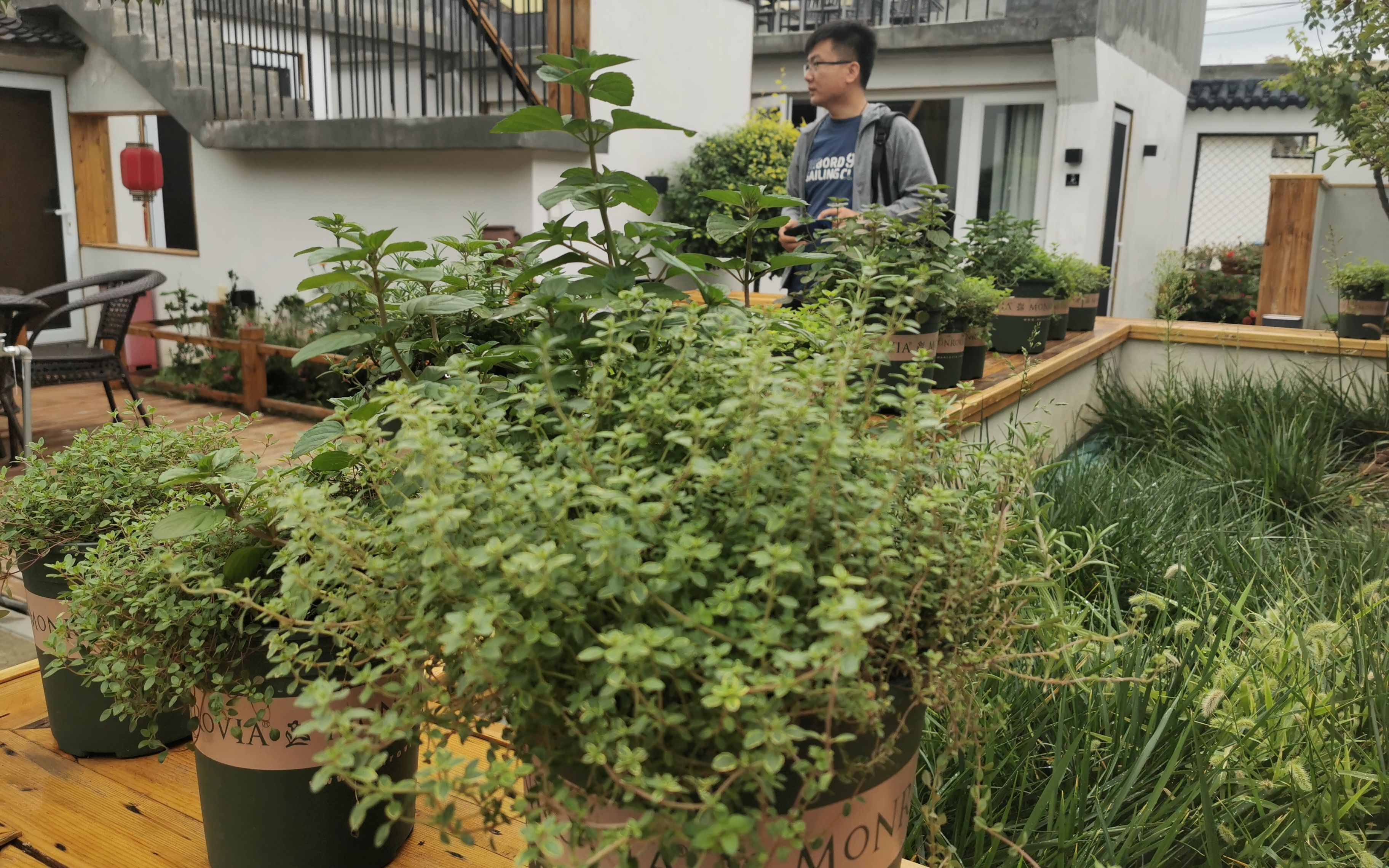 怎样城乡融合发展