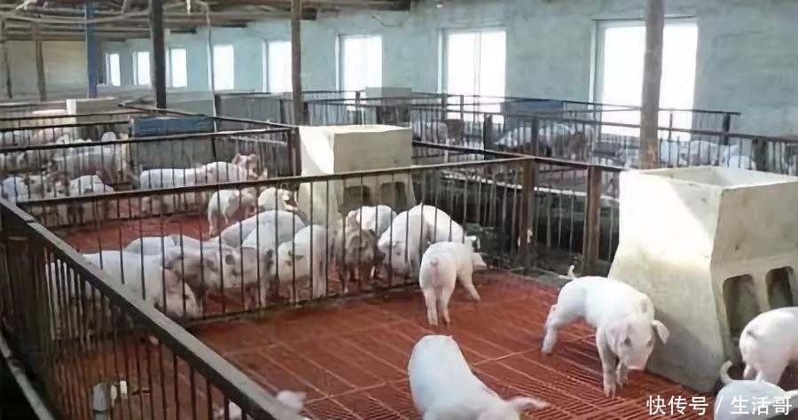 2020年农业农村工作