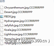 http://p9.qhimg.com/t0115fd2ac02fdd012a.png