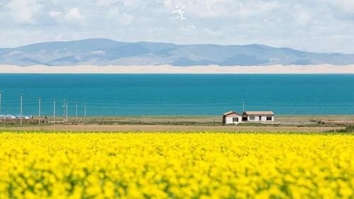 深圳事业单位考试招聘时间