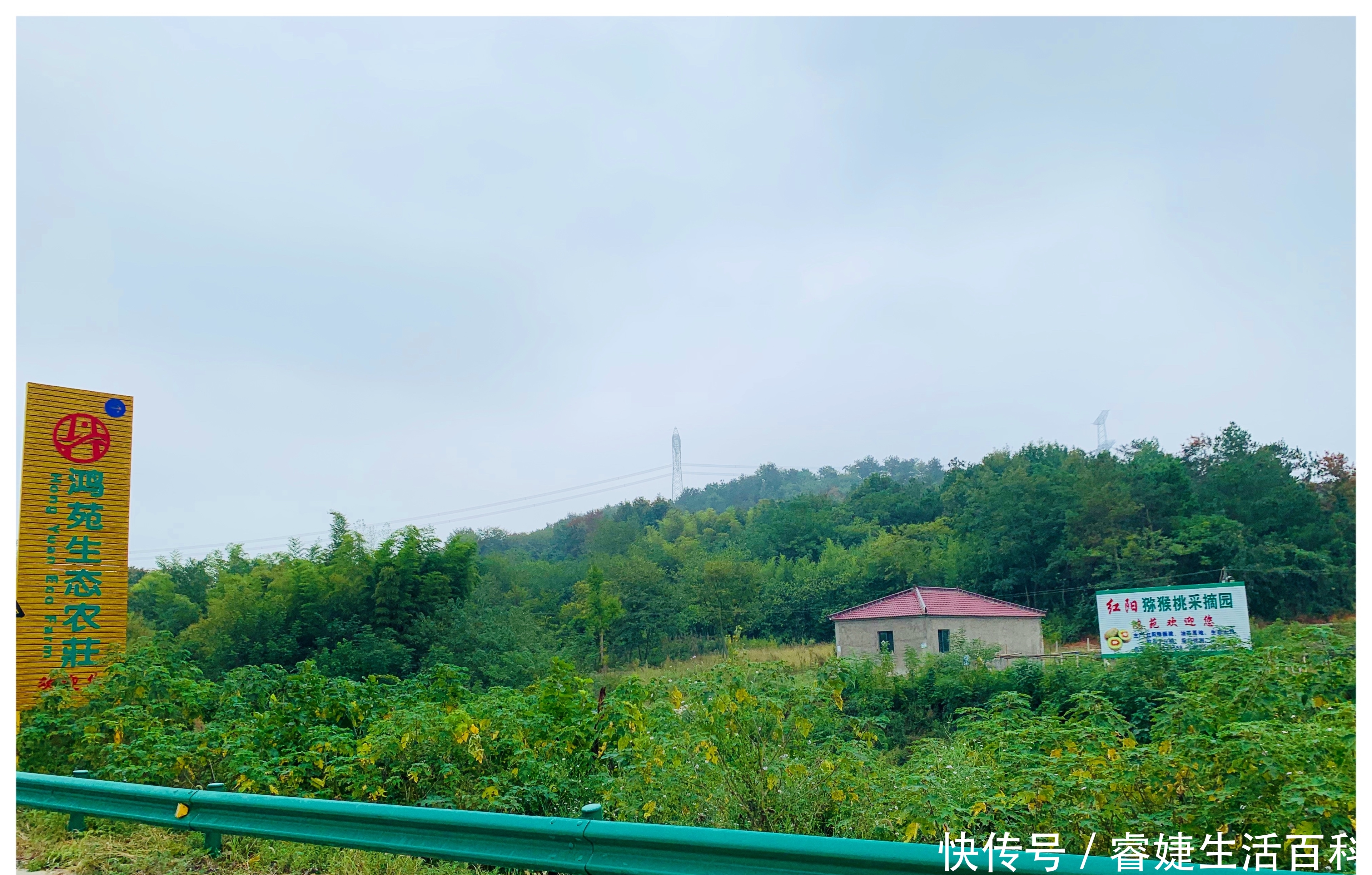 2020年省重点项目