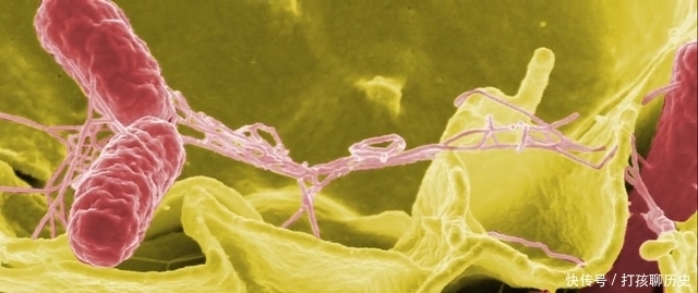 太空卫星有人吗