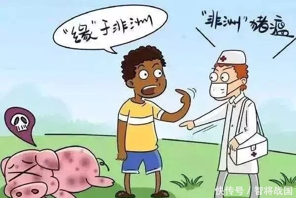 非洲非洲猪瘟疫情现状