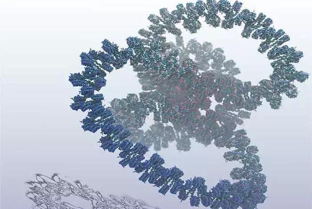 基因在不在DNA上