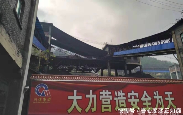 杉木树透水事件