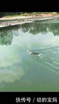 什么动物春天来了