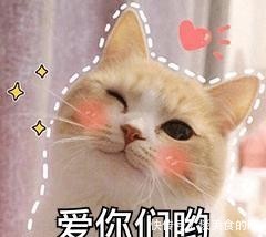 适合蘸饺子的醋