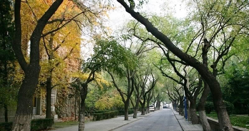 2019国家一流本科专业何时评审