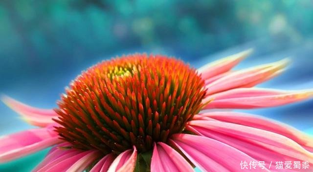 没有没有的句子