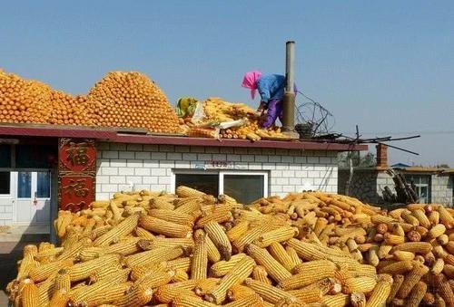 锌什么价格走势