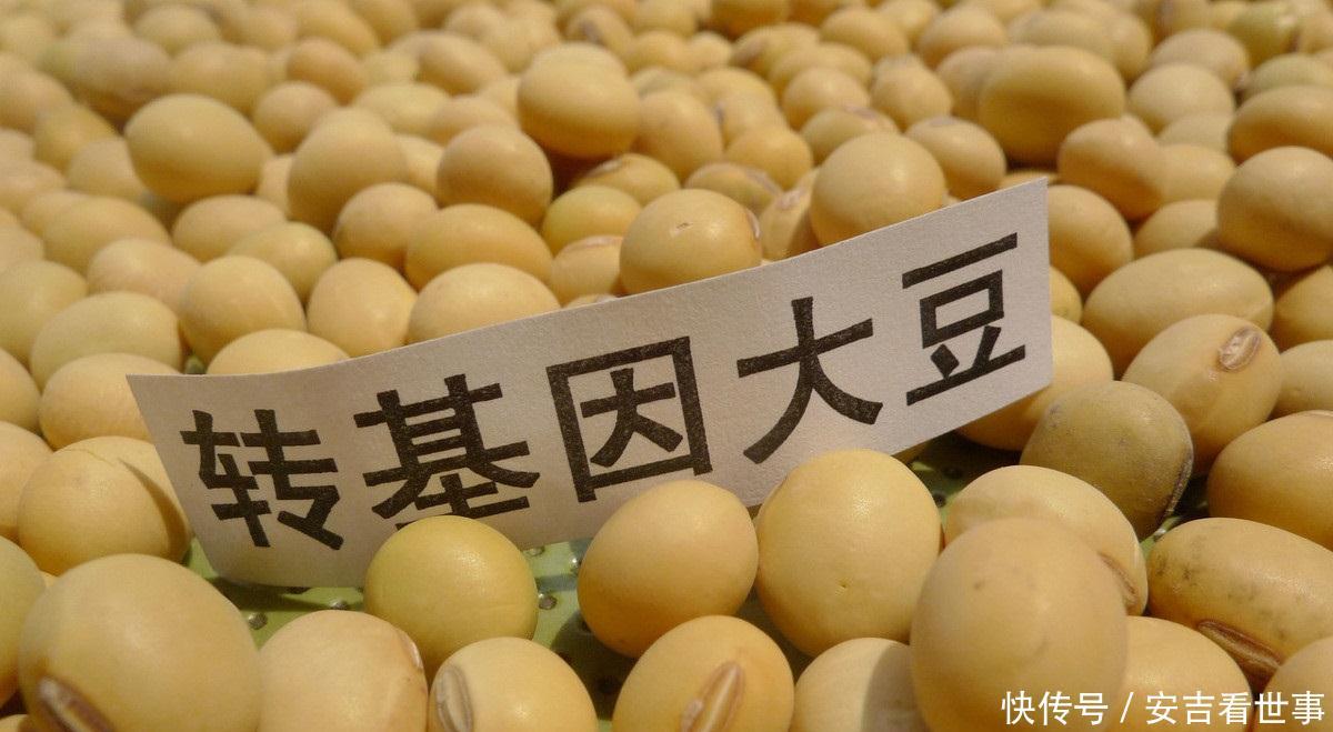 中国在农业的发展