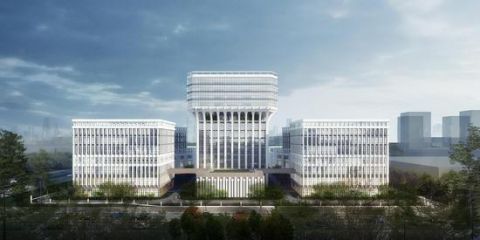 屠呦呦青蒿素研究历程