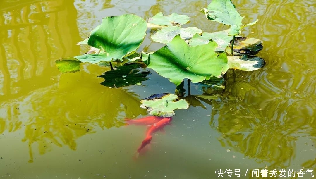 北京地铁七号线怎么了