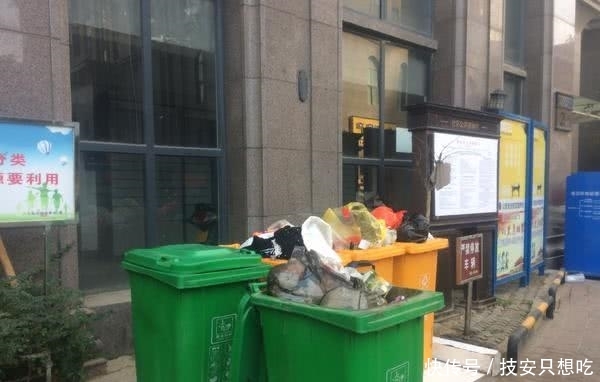 生活垃圾分类管理实行