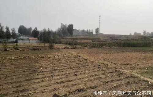 山东济南的人咋样