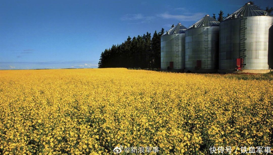 中国主席韩国总统2019