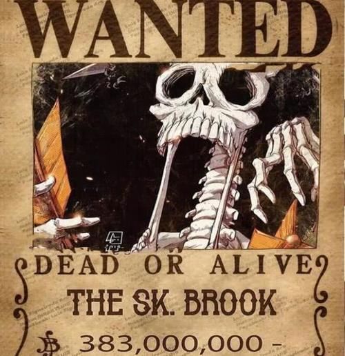 海贼王和之国第几话