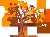 市教育局还是区教育局