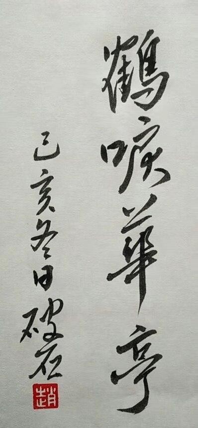 鹤涙华庭电视剧