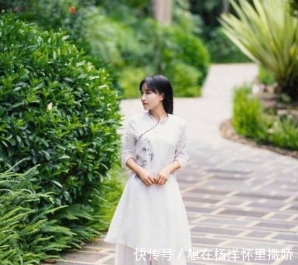 李子柒的签约公司