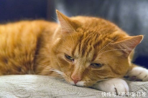 考试啊考试作文