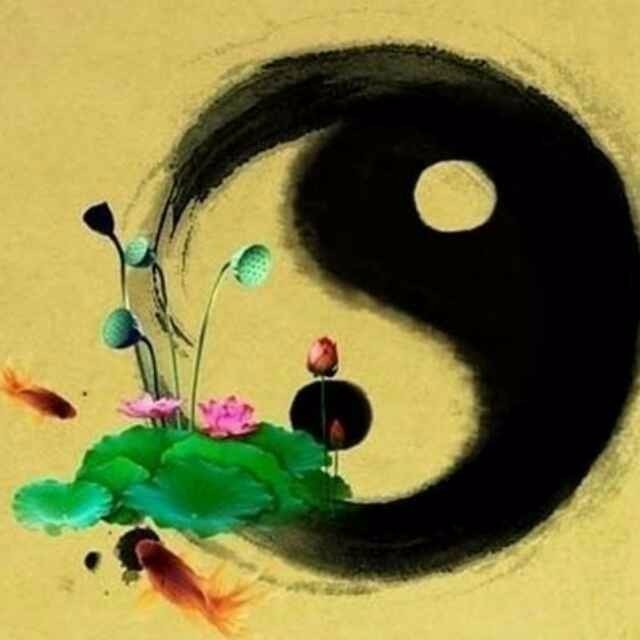 t01dedad21c0f2ab294.jpg?size=640x640