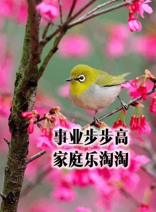 致朋友跨年的文案