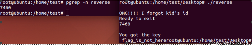 t01f12157d7daae51bd.png http://p5.qhimg.com/t01f12157d7daae51bd.png