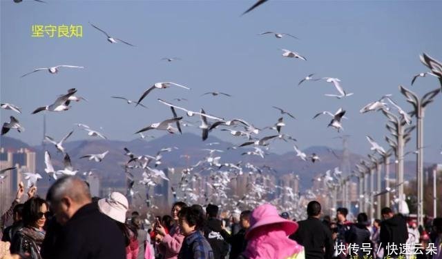 云南寻甸今晚还会地震