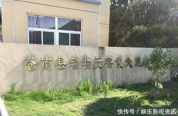 被撞死了全责怎么办